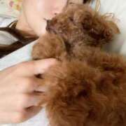 ヒメ日記 2025/06/04 00:25 投稿 rika セグレターリオ