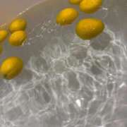 ヒメ日記 2025/12/22 18:01 投稿 rika セグレターリオ