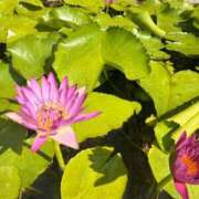 rika 『休暇旅行』 セグレターリオ