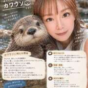 ヒメ日記 2026/09/15 20:52 投稿 rika セグレターリオ