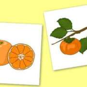 ヒメ日記 2025/01/18 19:32 投稿 せいこ 熟女家 豊中蛍池店