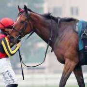 ヒメ日記 2025/05/06 19:51 投稿 せいこ 熟女家 豊中蛍池店