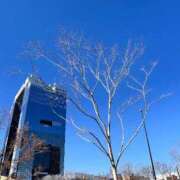 ヒメ日記 2025/12/18 14:00 投稿 せいこ 熟女家 豊中蛍池店