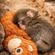 ヒメ日記 2026/02/17 09:18 投稿 せいこ 熟女家 豊中蛍池店