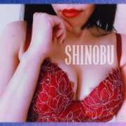 ヒメ日記 2024/12/14 20:03 投稿 しのぶ 横浜駅前M性感rooM