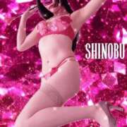 ヒメ日記 2024/12/15 09:04 投稿 しのぶ 横浜駅前M性感rooM