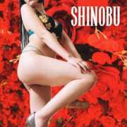 ヒメ日記 2024/12/29 14:31 投稿 しのぶ 横浜駅前M性感rooM