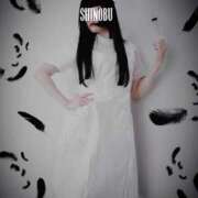 ヒメ日記 2025/01/19 12:09 投稿 しのぶ 横浜駅前M性感rooM