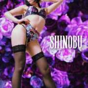 ヒメ日記 2025/01/21 09:02 投稿 しのぶ 横浜駅前M性感rooM