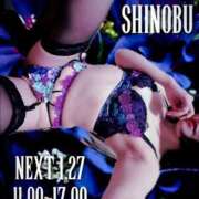 ヒメ日記 2025/01/21 20:02 投稿 しのぶ 横浜駅前M性感rooM