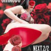 ヒメ日記 2025/01/27 20:01 投稿 しのぶ 横浜駅前M性感rooM