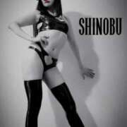 ヒメ日記 2025/01/31 20:03 投稿 しのぶ 横浜駅前M性感rooM