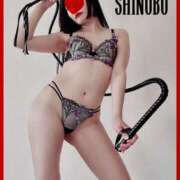 ヒメ日記 2025/02/08 09:02 投稿 しのぶ 横浜駅前M性感rooM