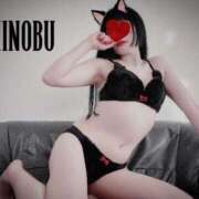 ヒメ日記 2025/02/22 12:05 投稿 しのぶ 横浜駅前M性感rooM