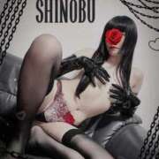 ヒメ日記 2025/03/08 09:02 投稿 しのぶ 横浜駅前M性感rooM