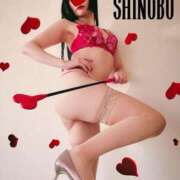 ヒメ日記 2025/03/17 09:01 投稿 しのぶ 横浜駅前M性感rooM