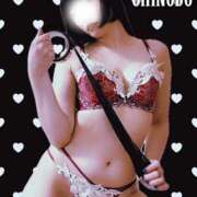 ヒメ日記 2025/05/17 10:03 投稿 しのぶ 横浜駅前M性感rooM