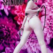 ヒメ日記 2025/05/17 20:01 投稿 しのぶ 横浜駅前M性感rooM