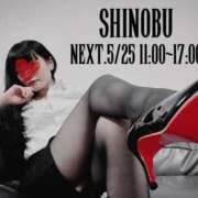 ヒメ日記 2025/05/19 20:02 投稿 しのぶ 横浜駅前M性感rooM