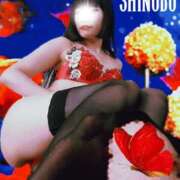 ヒメ日記 2025/06/23 10:01 投稿 しのぶ 横浜駅前M性感rooM