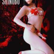 ヒメ日記 2025/07/02 10:01 投稿 しのぶ 横浜駅前M性感rooM