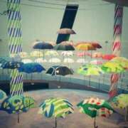 ヒメ日記 2025/07/02 12:02 投稿 しのぶ 横浜駅前M性感rooM