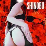 ヒメ日記 2025/08/08 10:01 投稿 しのぶ 横浜駅前M性感rooM