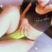 ヒメ日記 2025/08/09 12:02 投稿 しのぶ 横浜駅前M性感rooM