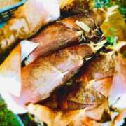 ヒメ日記 2025/08/31 12:02 投稿 しのぶ 横浜駅前M性感rooM