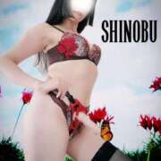 ヒメ日記 2025/09/01 10:01 投稿 しのぶ 横浜駅前M性感rooM