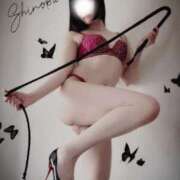 ヒメ日記 2025/09/22 10:01 投稿 しのぶ 横浜駅前M性感rooM