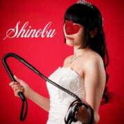 ヒメ日記 2025/09/30 20:01 投稿 しのぶ 横浜駅前M性感rooM