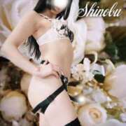 ヒメ日記 2025/10/25 10:02 投稿 しのぶ 横浜駅前M性感rooM