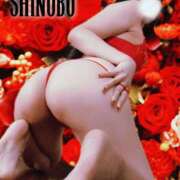 ヒメ日記 2025/11/02 10:02 投稿 しのぶ 横浜駅前M性感rooM