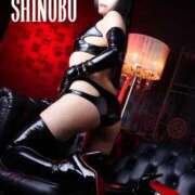 ヒメ日記 2025/11/10 08:02 投稿 しのぶ 横浜駅前M性感rooM