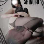 ヒメ日記 2025/11/17 10:01 投稿 しのぶ 横浜駅前M性感rooM