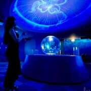 ヒメ日記 2025/11/26 12:02 投稿 しのぶ 横浜駅前M性感rooM