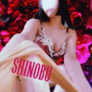 ヒメ日記 2025/11/29 08:02 投稿 しのぶ 横浜駅前M性感rooM