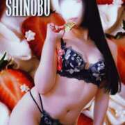 ヒメ日記 2025/11/30 07:59 投稿 しのぶ 横浜駅前M性感rooM