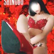 ヒメ日記 2026/01/26 10:01 投稿 しのぶ 横浜駅前M性感rooM