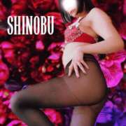 ヒメ日記 2026/02/20 10:01 投稿 しのぶ 横浜駅前M性感rooM