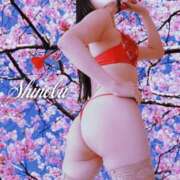 ヒメ日記 2026/03/02 10:01 投稿 しのぶ 横浜駅前M性感rooM