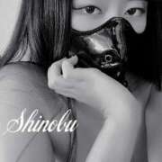 ヒメ日記 2026/03/02 12:03 投稿 しのぶ 横浜駅前M性感rooM