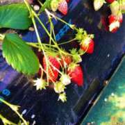 ヒメ日記 2026/03/20 12:05 投稿 しのぶ 横浜駅前M性感rooM