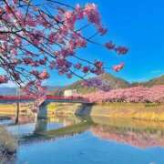 ヒメ日記 2026/04/04 12:04 投稿 しのぶ 横浜駅前M性感rooM