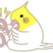 ヒメ日記 2025/04/26 17:46 投稿 あやか 快楽玉乱堂