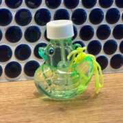 ヒメ日記 2025/03/24 00:36 投稿 さえこ 和歌山ちゃんこ