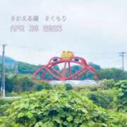 ヒメ日記 2025/05/19 02:41 投稿 さえこ 和歌山ちゃんこ