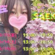ヒメ日記 2025/06/09 14:25 投稿 さえこ 和歌山ちゃんこ