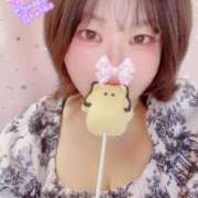 ヒメ日記 2025/06/15 15:07 投稿 さえこ 和歌山ちゃんこ